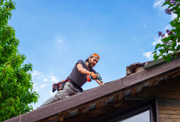 Professional Roofing and repair in El Paso, IL